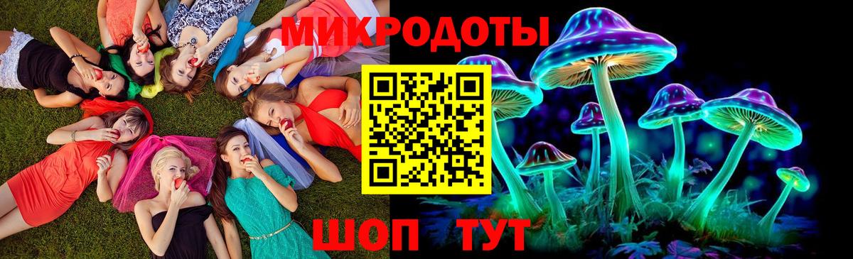 Псилоцибиновые грибы GOLDEN TEACHER  Вход с VPN  Алатырь  Псилоцибиновые грибы Psilocybine cubensis 